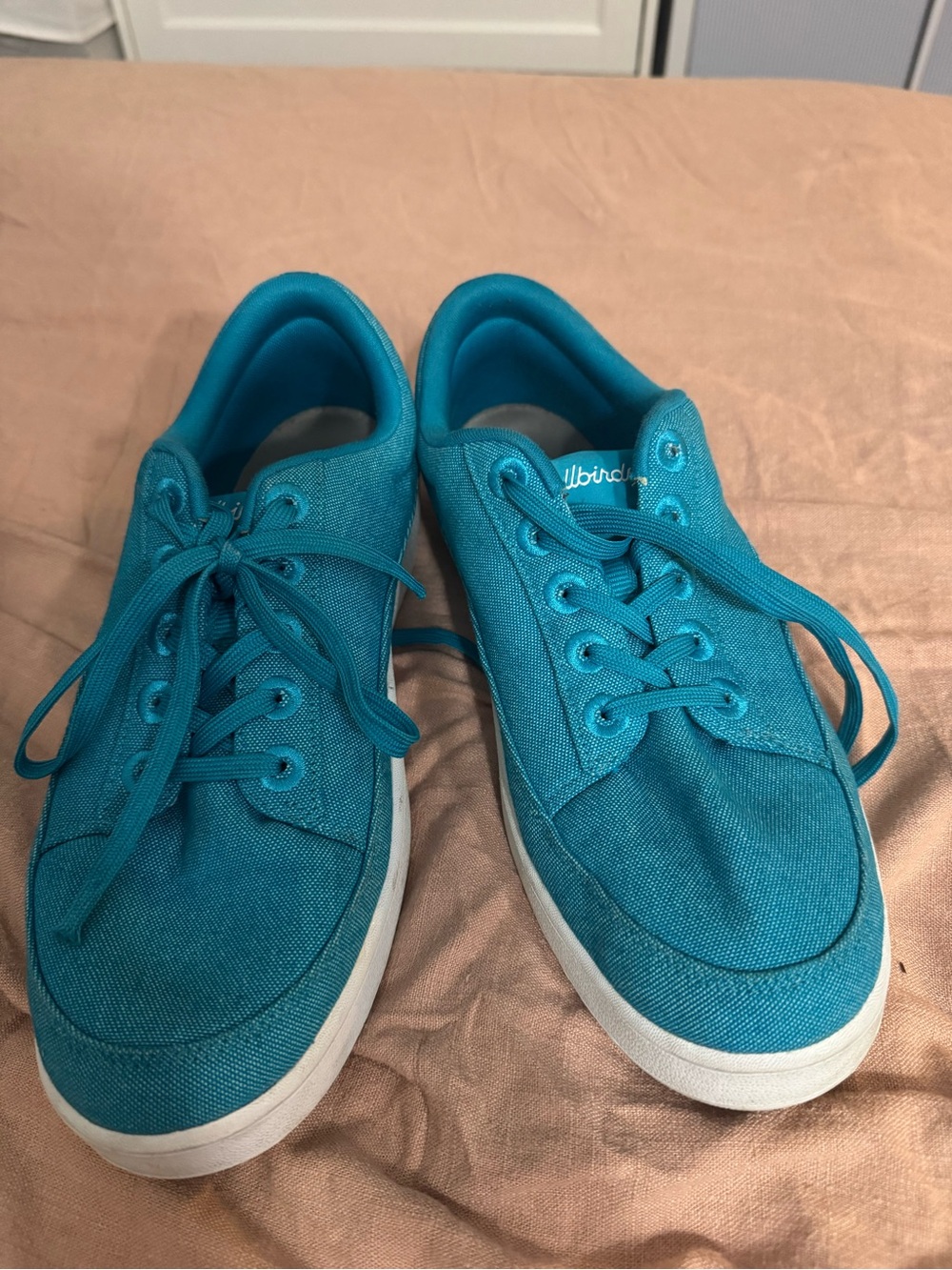 allbirds Teal Low-Top Sneakers